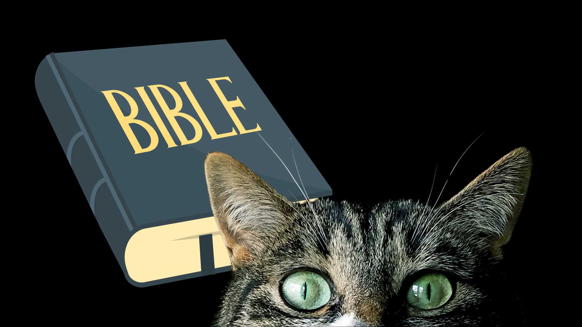 are cats evil in the bible