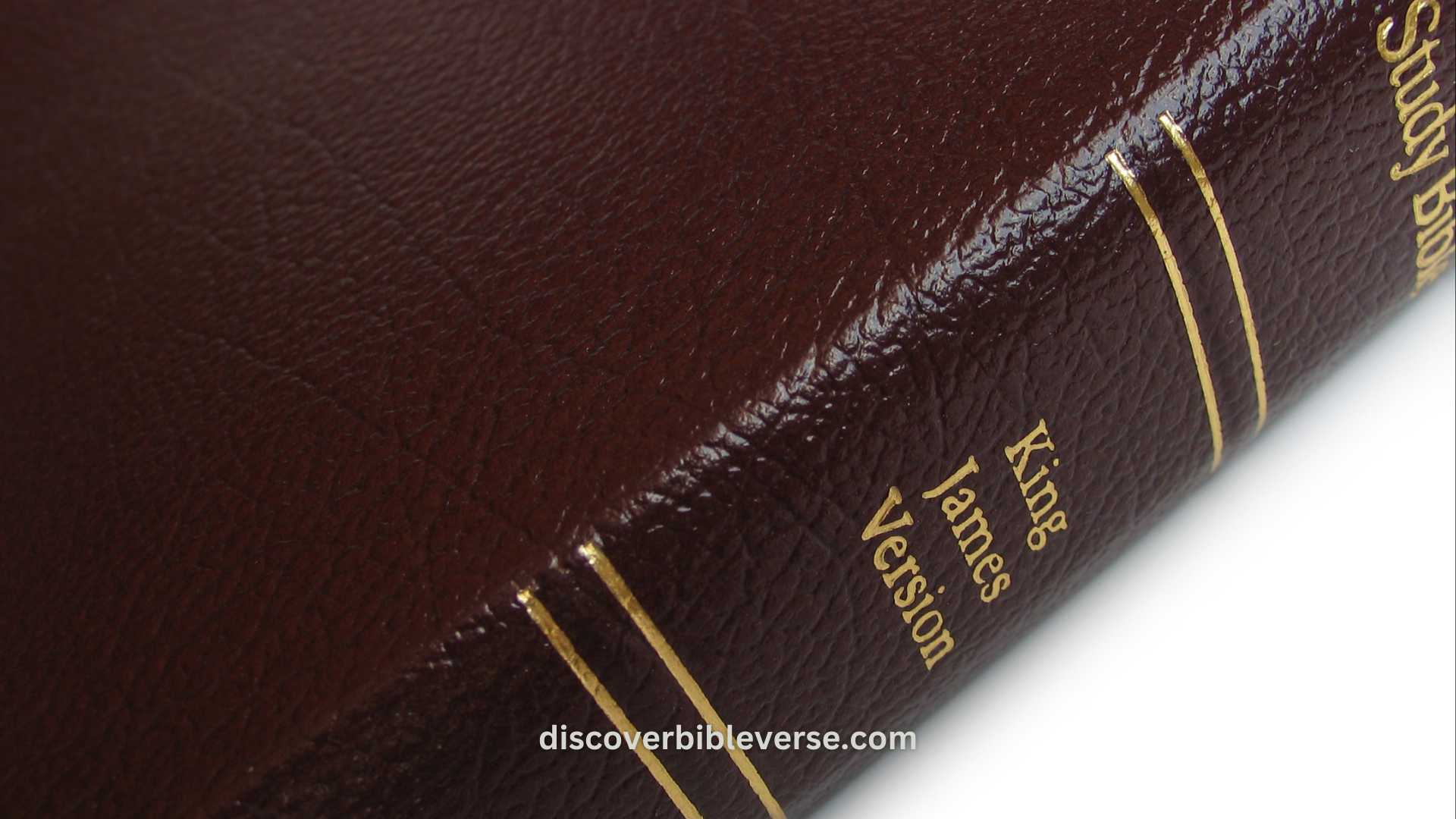 What are the Key Differences Between the Sinai Bible and the King James Version?