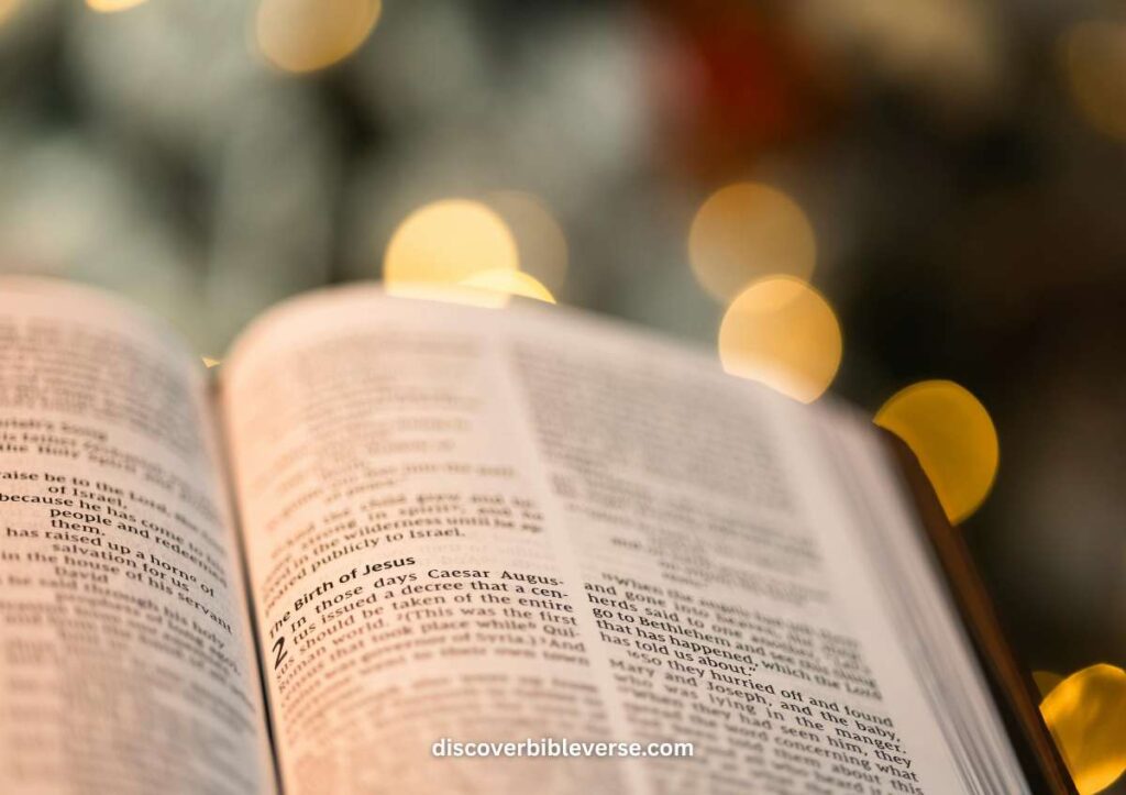Chapters in the Bible