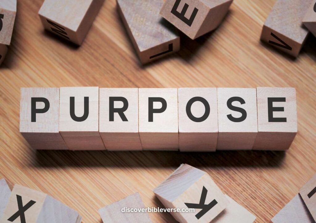 Find My Purpose