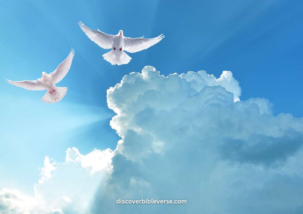Role of the Holy Spirit